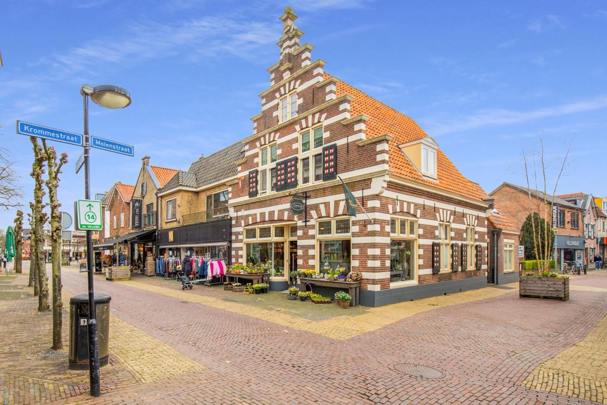 Chalet Louis Putten